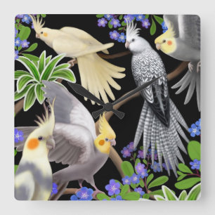 Reloj Cuadrado Cockatiels in Forget Me Nots Wall Clock