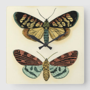 Reloj Cuadrado Colección de la mariposa de Chariklia Zarris