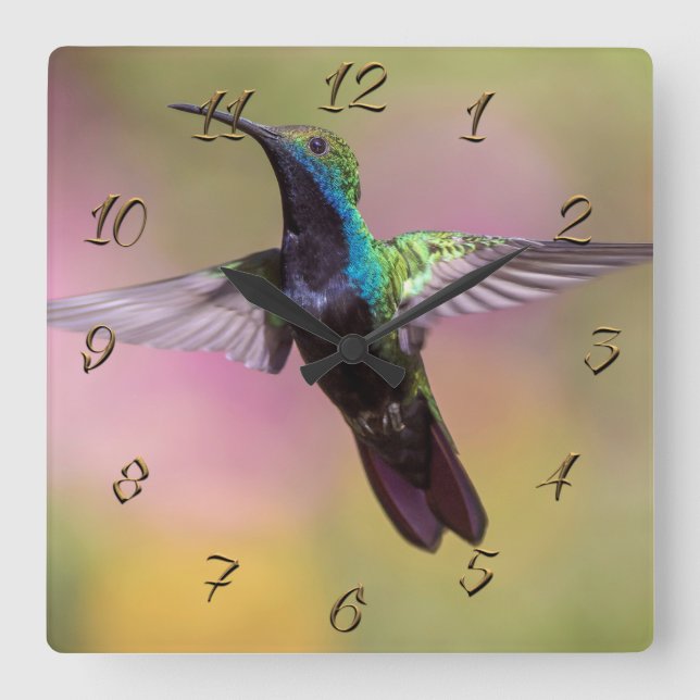 Reloj Cuadrado Colibrí (Anverso)