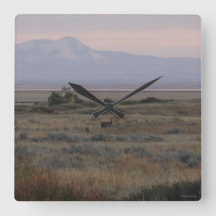 Colinas de pasto dulce D10 de cola blanca