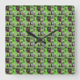 Reloj Cuadrado Collage de fotos Staffordshire Bull Terrier