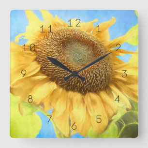 Reloj Cuadrado Color de agua de girasol País Rústico Azul Amari
