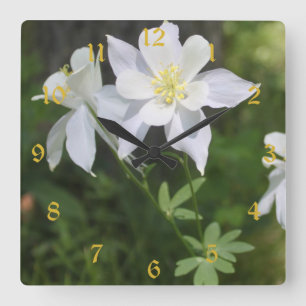 Reloj Cuadrado Colorado White Columbine Numbered