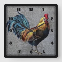 Colorido Bantam Rooster