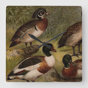 Reloj de sales pared con patos
