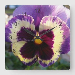 Reloj Cuadrado colorido resorte Pansy