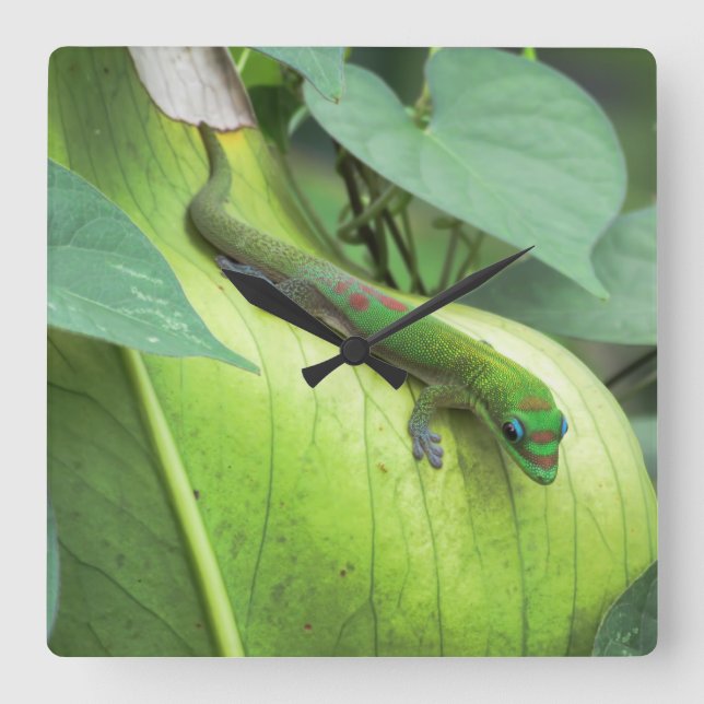 Reloj Cuadrado Combinar en (Anverso)