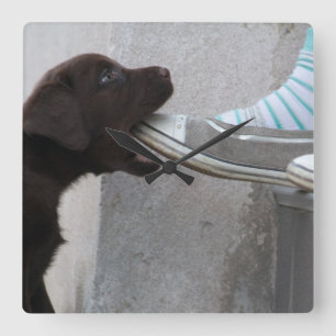 Reloj Cuadrado ¡Come Mi Zapato! Labrador Puppy