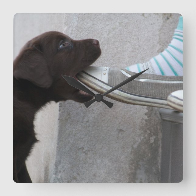 Reloj Cuadrado ¡Come Mi Zapato! Labrador Puppy (Anverso)