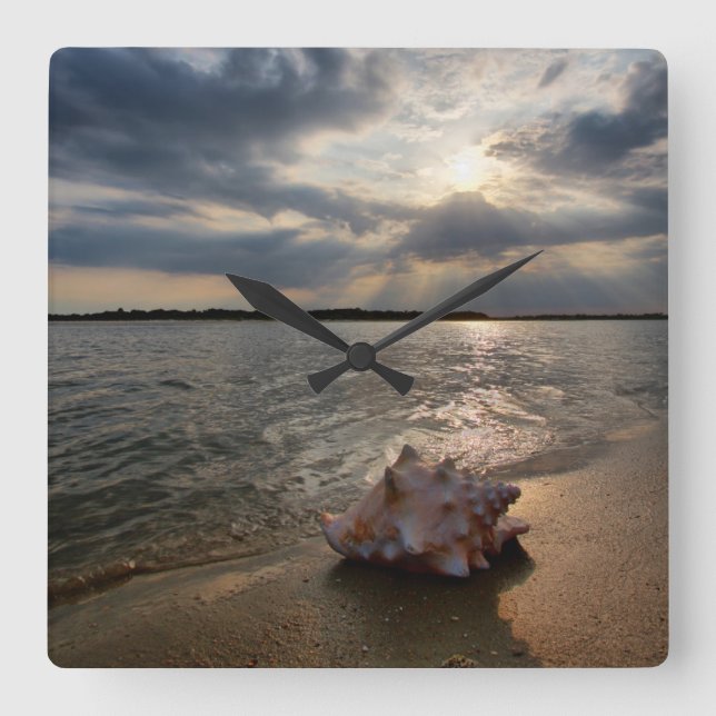Reloj Cuadrado Conch Shell At Beach | St. Augustine, Fl (Anverso)