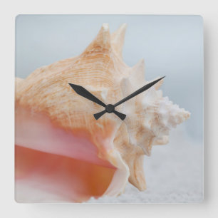 Reloj Cuadrado Conch Shell   Florida