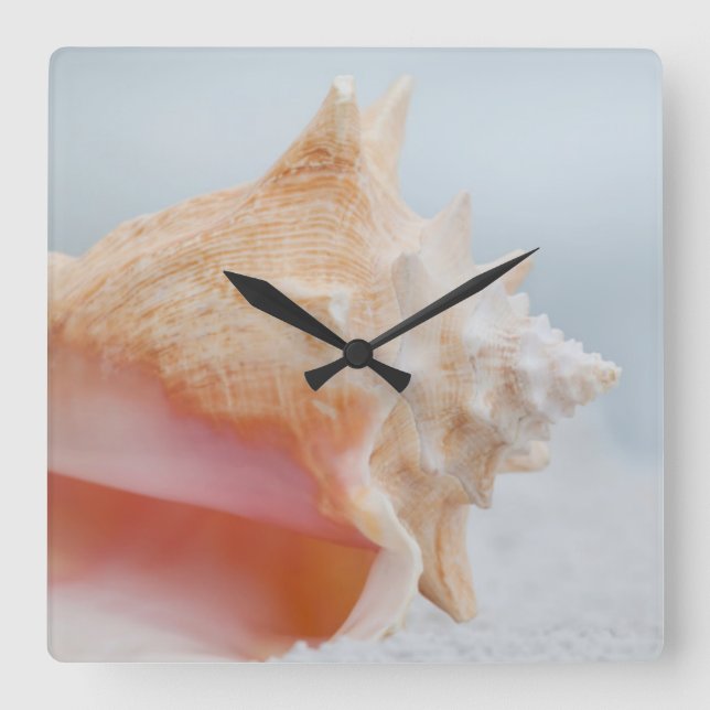 Reloj Cuadrado Conch Shell | Florida (Anverso)