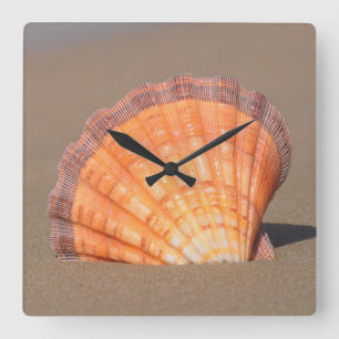 Reloj Cuadrado Concha de peregrino el Shell Creta, Grecia
