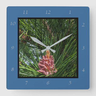 Reloj Cuadrado Cono de polen de pino rojo (Pinus resinosa)