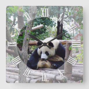 Reloj Cuadrado Consejos de Panda "Siempre es hora de un descanso"