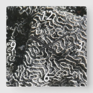 Reloj Cuadrado Coral blanco y negro I Resumen foto natural