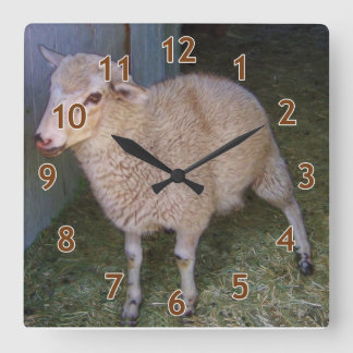 Reloj Cuadrado Cordero blanco pequeño