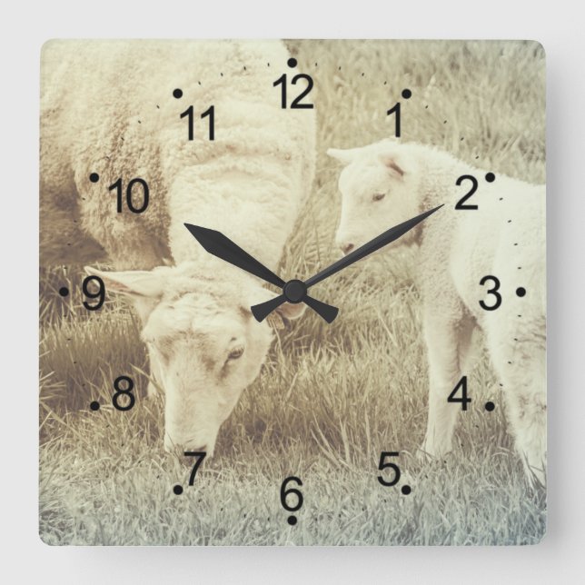 Reloj Cuadrado Cordero y oveja Mama Ewe (Anverso)
