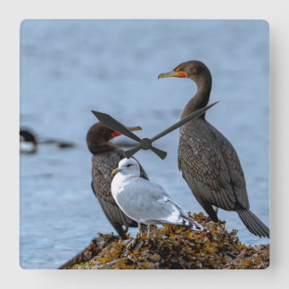 Reloj Cuadrado Córdobas y gaviota