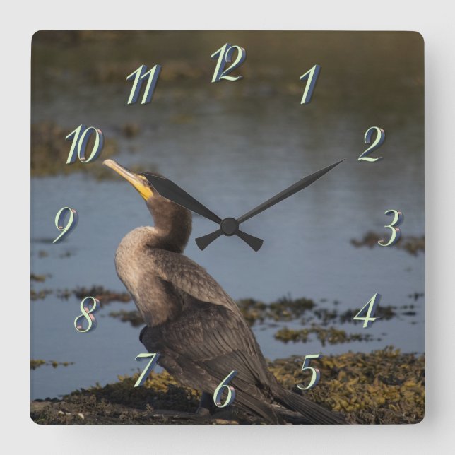 Reloj Cuadrado Cormoralina de dos pechos (Anverso)