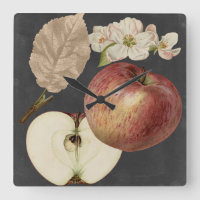 Cosecha Medianoche II