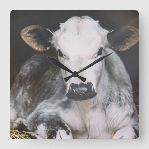 Reloj Cuadrado Cosecha ocupada del día