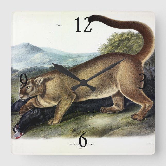 Reloj Cuadrado Cougar, o Puma, Panther, León de Montaña, Catamoun (Anverso)