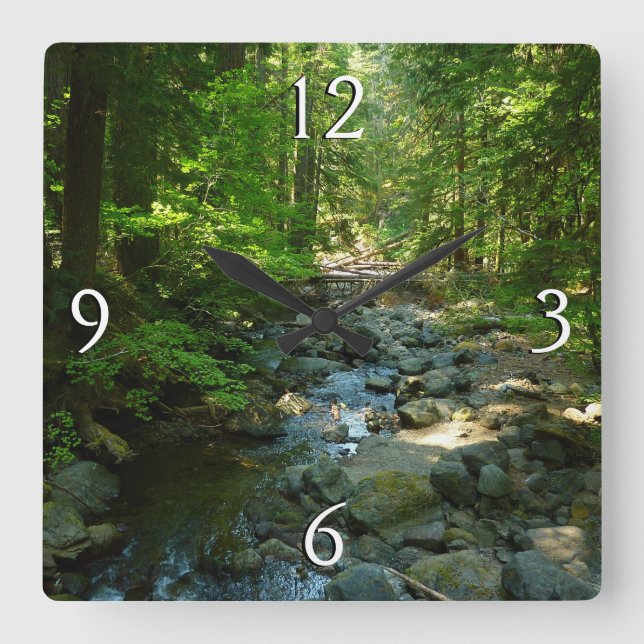 Reloj Cuadrado Creek de agua risible en el Parque Nacional Mount  (Anverso)