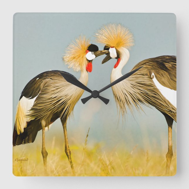 Reloj Cuadrado Crested Herons (Anverso)
