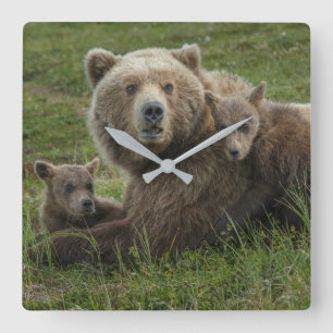 Reloj Cuadrado Crías de oso pardo acariciando a su madre