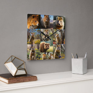 Reloj Cuadrado "Crónicas de Quokka: Un conmovedor collage de foto