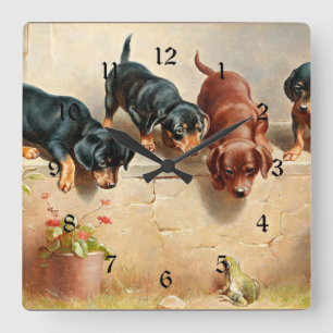 Reloj Cuadrado Curiosos cachorros de Dachshund y una rana