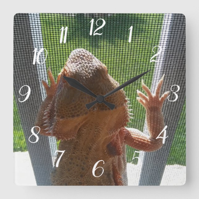 Reloj Cuadrado Cute Bearded Dragon Climbing Photo Print (Anverso)