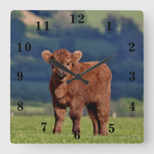 Reloj Cuadrado Cute Calf