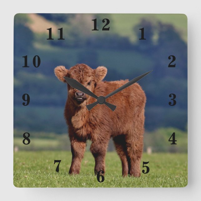 Reloj Cuadrado Cute Calf (Anverso)