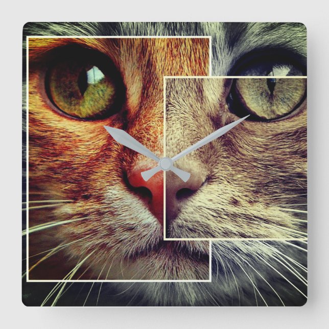 Reloj Cuadrado Cute Cat Face Collage Wall Clock (Anverso)
