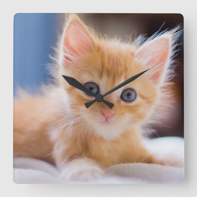 Reloj Cuadrado Cute Cat With Blue Eyes (Anverso)