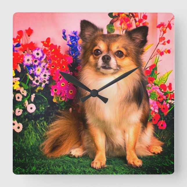 Reloj Cuadrado Cute Chihuahua Amid Spring Flowers (Anverso)