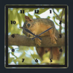 Reloj Cuadrado Cute & Curious Squirrel Nature Photography<br><div class="desc">A clock with an adorable image of a brown squirrel standing on a tree branch looking at you with an inquisitive face.</div>