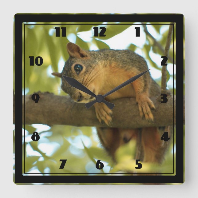 Reloj Cuadrado Cute & Curious Squirrel Nature Photography (Anverso)