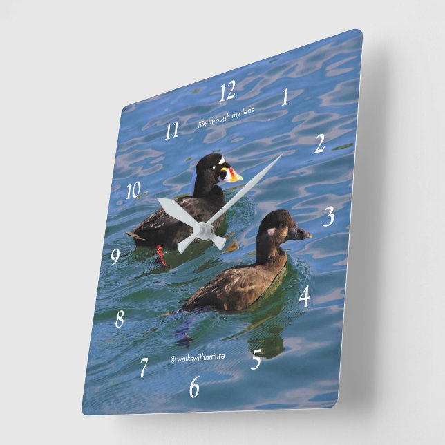 Reloj Cuadrado Cute divertida surf Scoter Pies nadando en el muel (Ángulo)