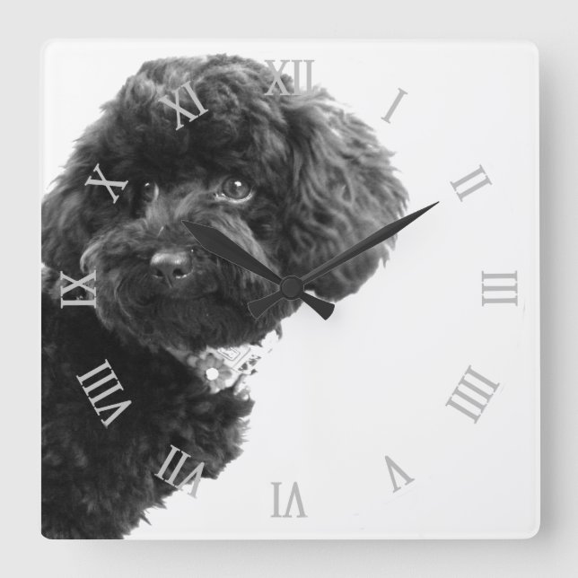 Reloj Cuadrado © Cute Dog Puppy Black and White/Photography (Anverso)
