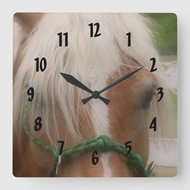 Reloj Cuadrado Cute Haflinger Horse Face Animal (Anverso)