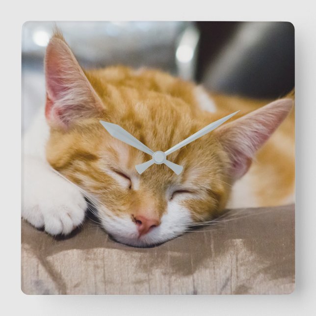 Reloj Cuadrado Cute Kitten (Anverso)