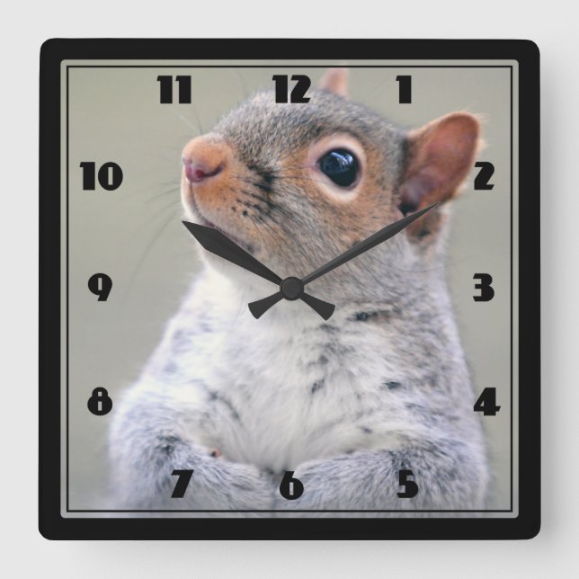 Reloj Cuadrado Cute Little Soft and Fluffy Gray Squirrel (Anverso)