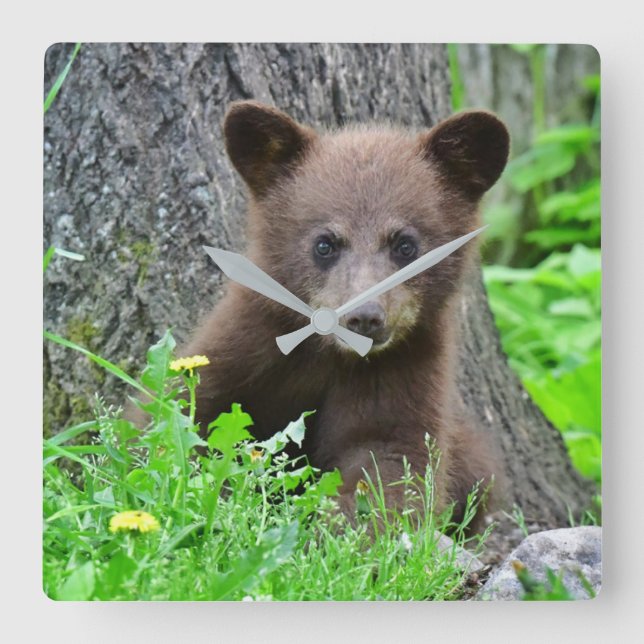 Reloj Cuadrado Cutest Baby Animals | Brown Bear Cub (Anverso)