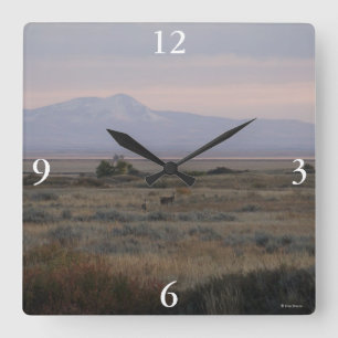 Reloj Cuadrado D10 Venado de cola blanca y Sweet Grass Hills