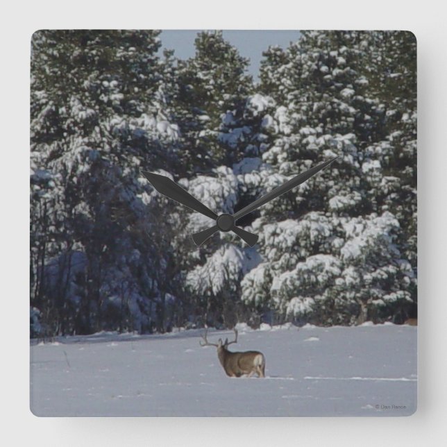 Reloj Cuadrado D17 Mule Deer Buck in Snowy Spruce Trees (Anverso)