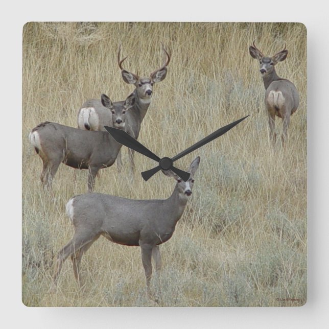 Reloj Cuadrado D18 Mule Deer (Anverso)