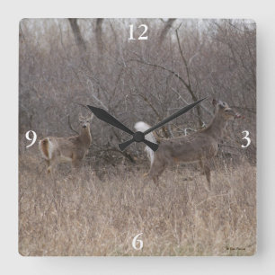 Reloj Cuadrado D1 Cúmulos de primavera de ciervos de cola blanca 